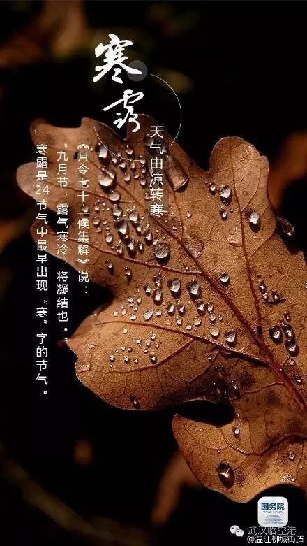 今日寒露!第一个带"寒"字的节气,深秋的脚步进了