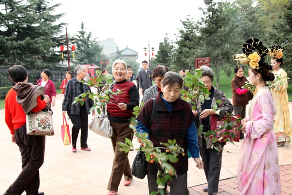 重阳节,久久,灸灸.