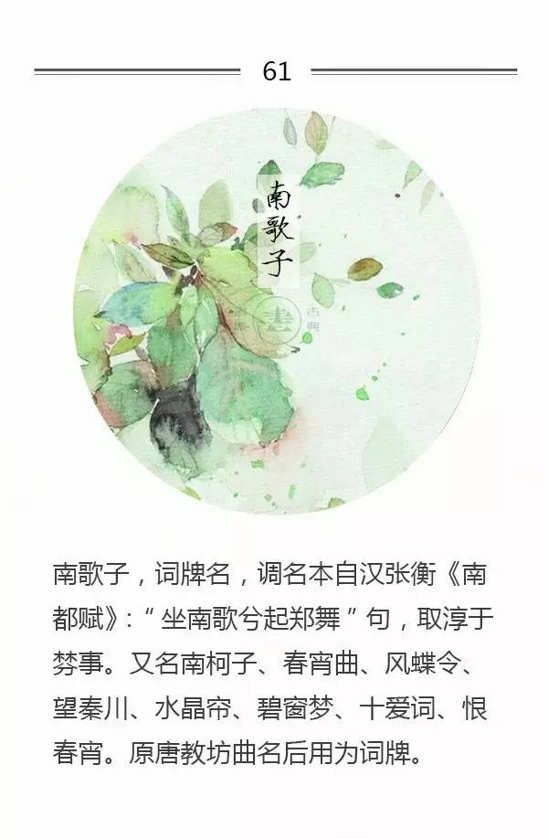 脍炙人口的词牌名_人口普查(2)