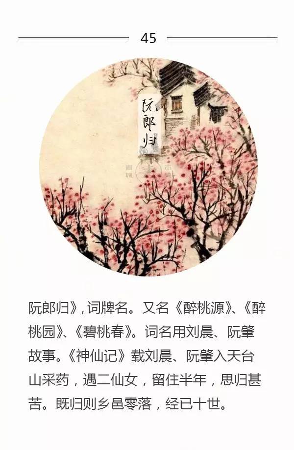 脍炙人口的词牌名_人口普查