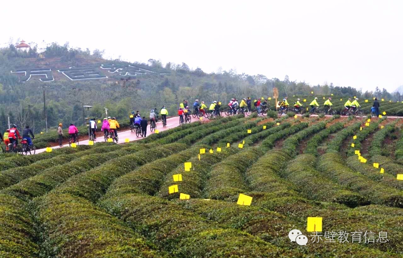 赤壁市将按照省委,省政府振兴茶产业的战略部署,挖掘历史文化资源,做