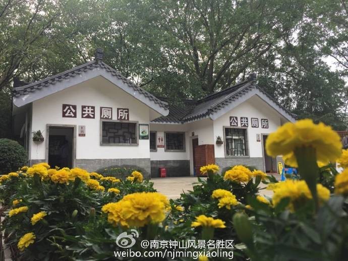 【带上大红花】南京市中山陵园风景区为厕所革