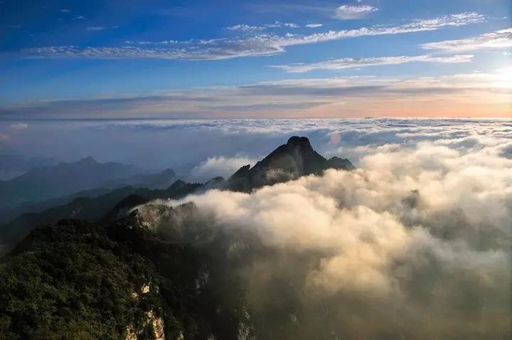 九九重阳节,登高望远去