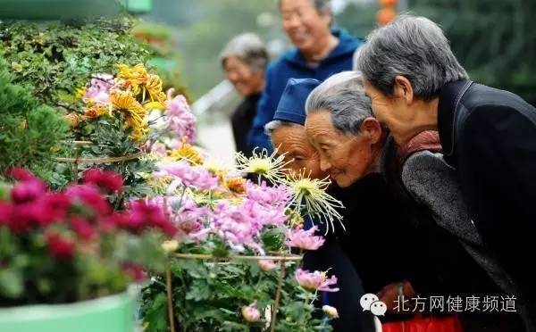 重阳节赏菊,插茱萸,吃重阳糕