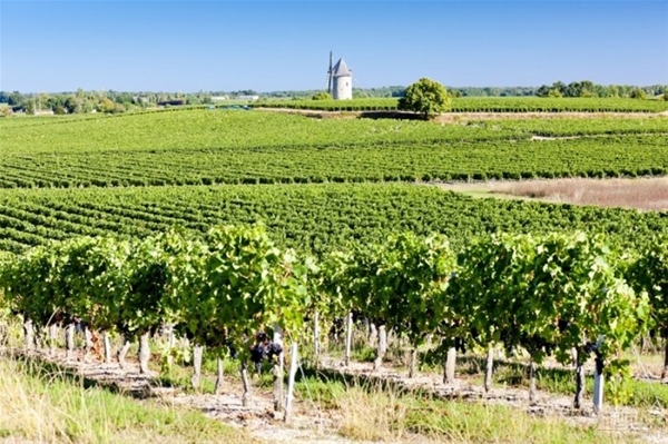 秋季赏酒会,一张图带你了解法国十大葡萄酒产