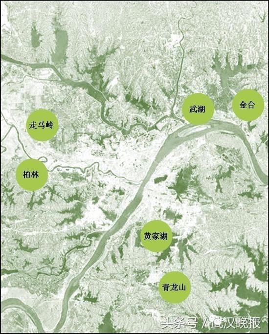 江夏青龙山 黄家湖地铁小镇分别建设森林 艺术公园镇