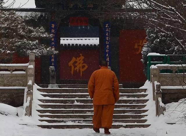 太原人口为什么变少_太原植物园(3)