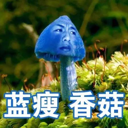 一夜间在朋友圈刷屏"蓝瘦香菇"表情包彻底火了,你在用了吗?