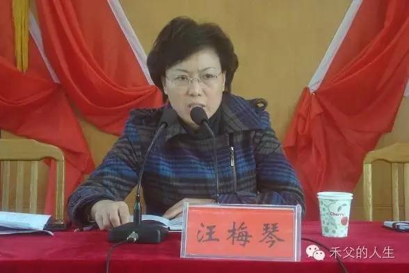 风物志安徽无为县原副县长汪梅琴女接受巡视组谈话后集中退款