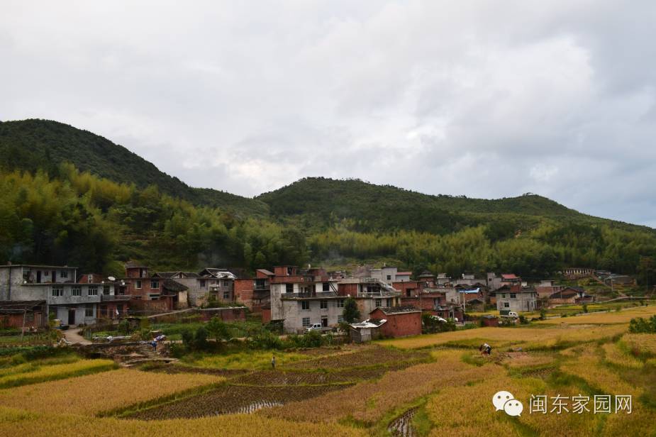 渔溪南楼村人口_正定县南楼乡南楼村