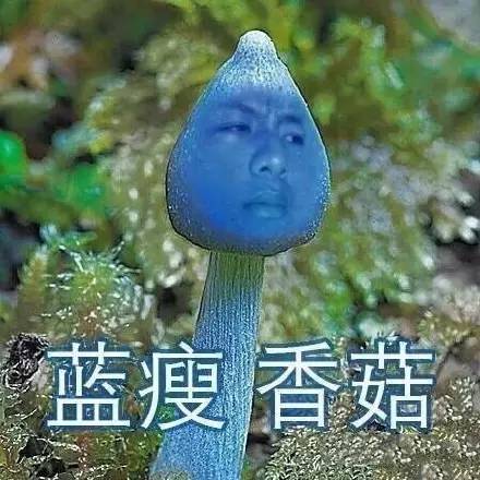 蓝瘦香菇表情包大全 蓝瘦香菇表情包下载 蓝瘦香菇搞笑图片