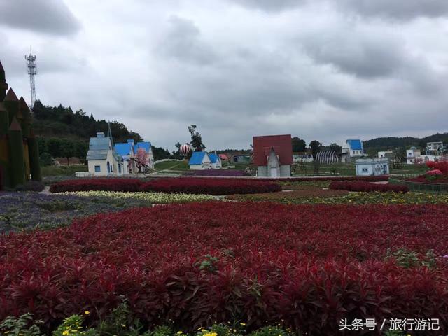 绵阳原香国际香草园