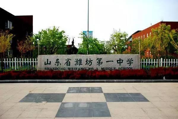 一中济南升学率怎么样_济南一中升学率_济南一中升学率