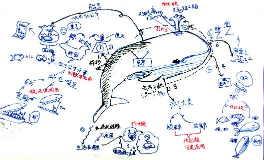 学生还可以用"八爪鱼"形态的思维导图形象记忆常用的八种说明方法,和