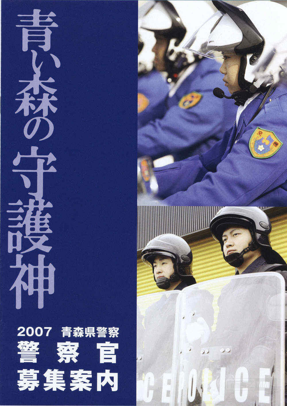 文化 正文  千叶县西部——船桥市,是日本最主要的梨产区,船梨精之名