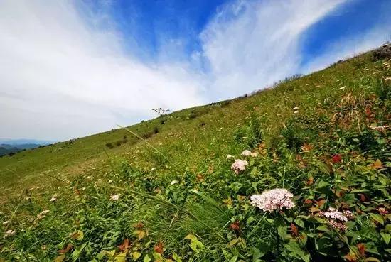 留坝紫柏山:神秘"天坑"等你探索