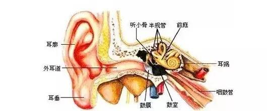 突发眩晕?"手到病除"的神奇耳石复位法治疗耳石症!
