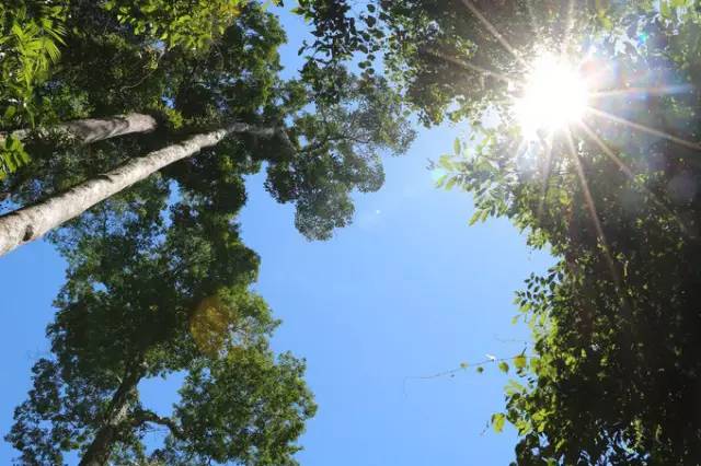 乌鲁淡布隆国家森林公园,顶着大太阳,爽快地出一次汗,一场与大自然的