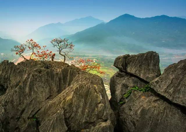 谁说福建没有秋天!这个纯粹的最美秋色小城你造吗?