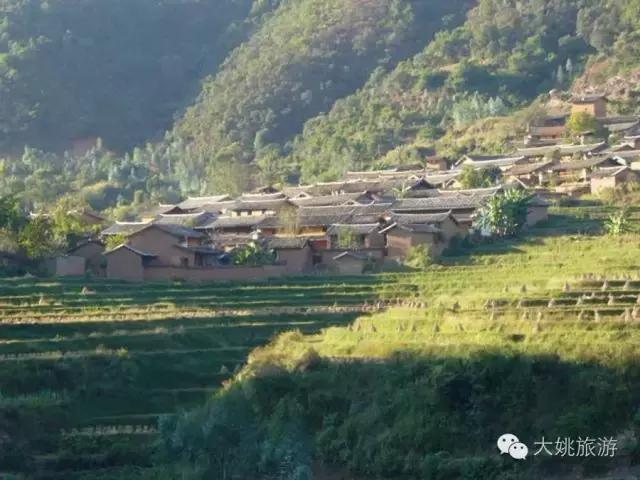 大姚龙街镇:一个坝区,一片稻田,一座青山,认真