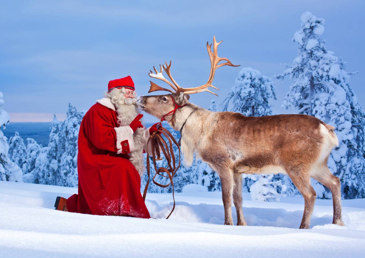 圣诞老人与驯鹿 / santa and the reindeer