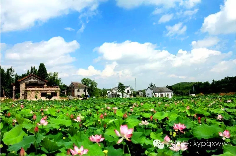 美丽信阳美乡村 美丽乡村看郝堂(图)_搜狐旅游_搜狐网