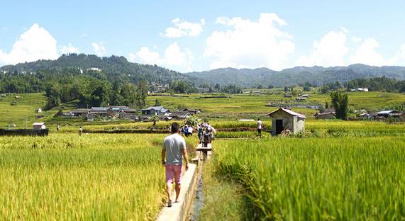 龙陵县有多少人口_汽车失控落入江中 云南龙陵县村民连救三人(2)