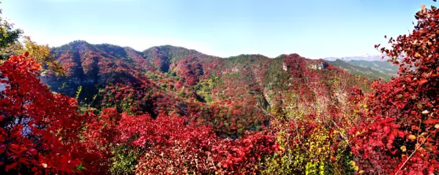 这些五彩斑斓的山东秋景，你去过几个？