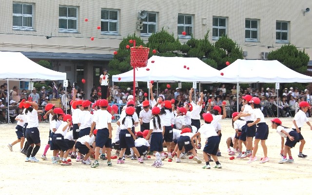 从一场小学运动会,读懂日本教育的良苦用心