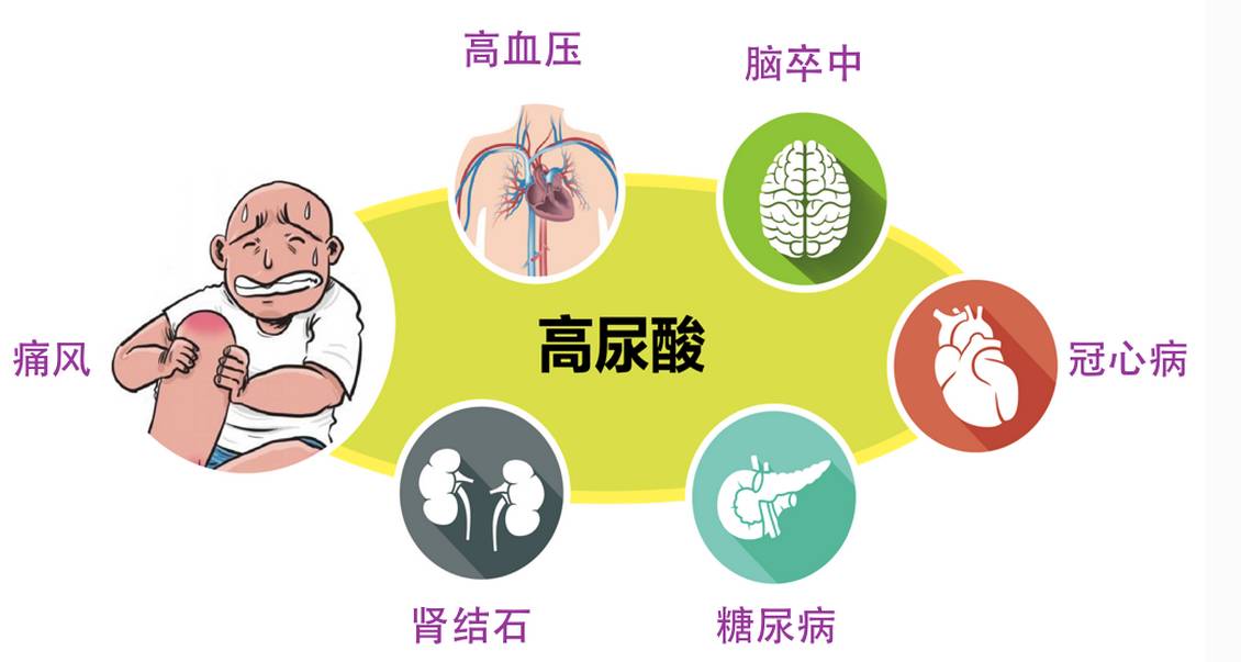 高尿酸血症与冠心病的相关性分析