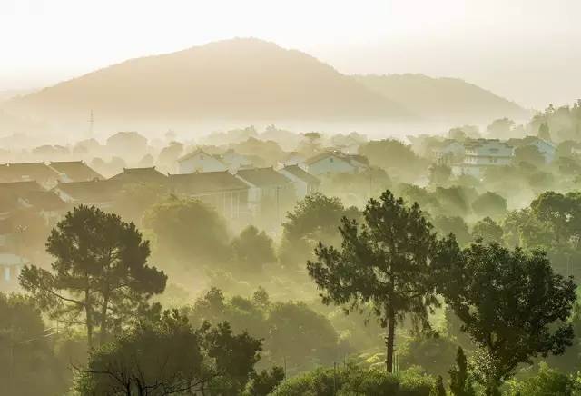 烟雨朦胧的树山,你有什么理由不去看看呢?