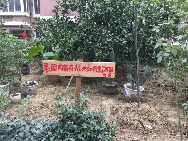 另一块牌子写着:进入危险,私家果园禁止采摘果子, 如果发现以小偷论处