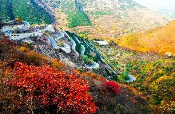 这些五彩斑斓的山东秋景，你去过几个？
