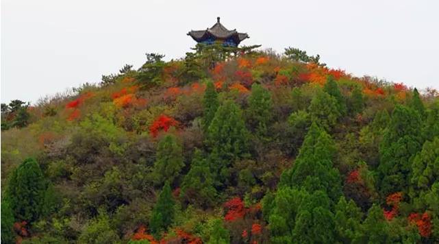 太原龙山迎来了最美的时节