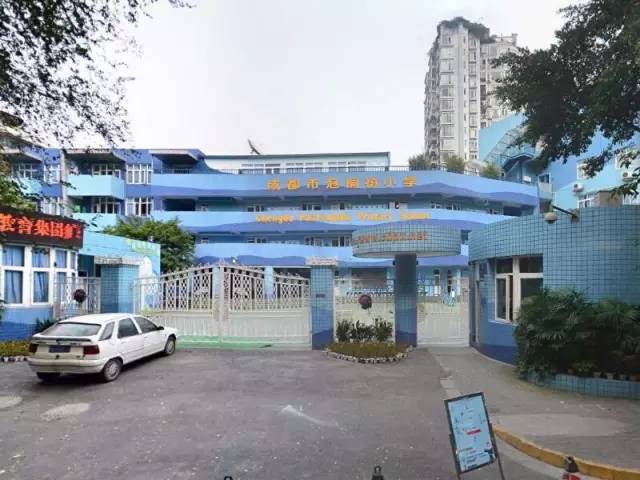 泡桐树小学