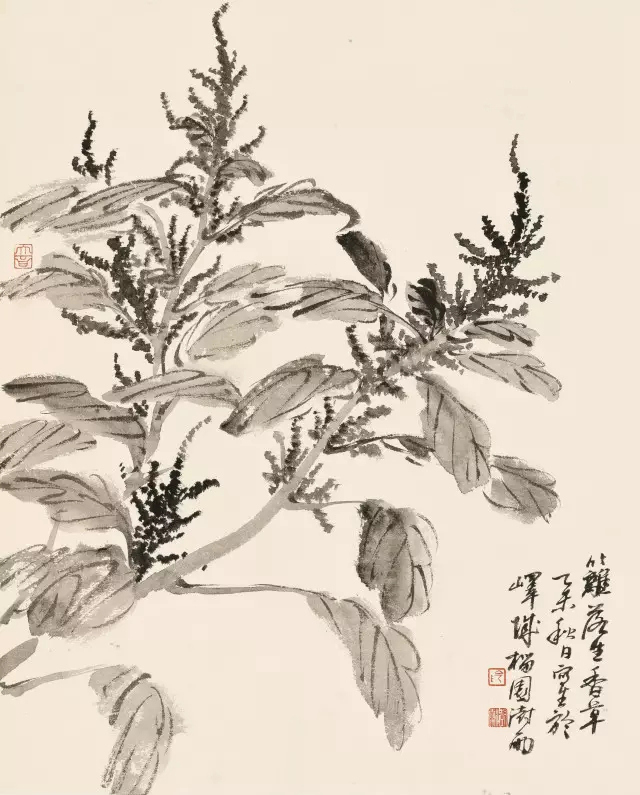 展事丨阴澍雨:大匠之门—第三届全国花鸟画名家