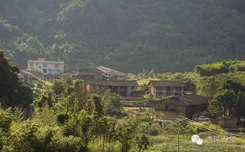 闽侯县白沙镇井下村是革命老区基点村,也是一个畲族聚居村,全村人口