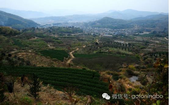 奉化松岙街横村人口_奉化裘村甲岙(3)