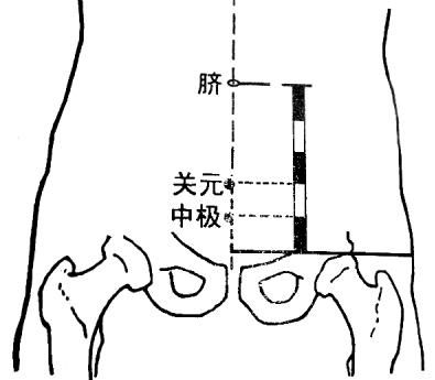 经验八:按揉中极穴