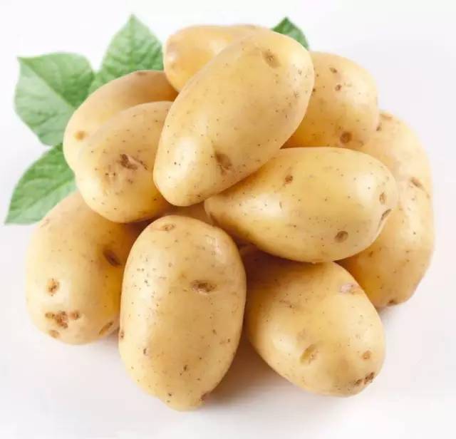 莱西特色大土豆