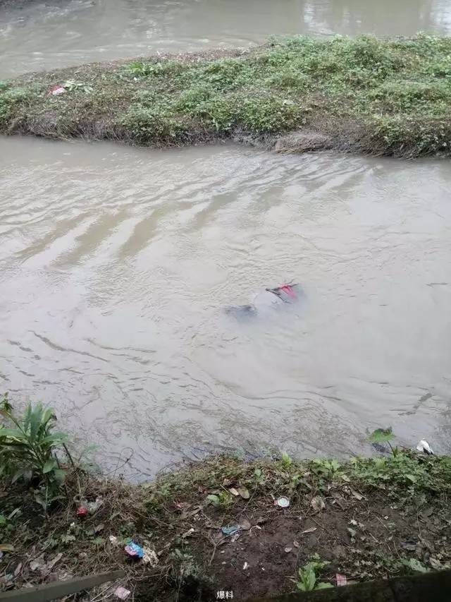 男子商店购物意外猝死,车子镇河里惊现女尸···乐山两老人就这么没