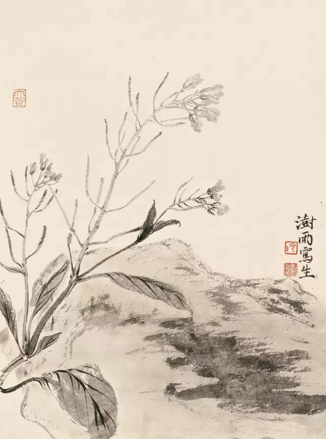 展事丨阴澍雨:大匠之门—第三届全国花鸟画名家