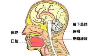 (1)涕血和鼻出血病灶位于鼻咽顶后壁者,用力向后吸鼻腔或鼻咽部分泌