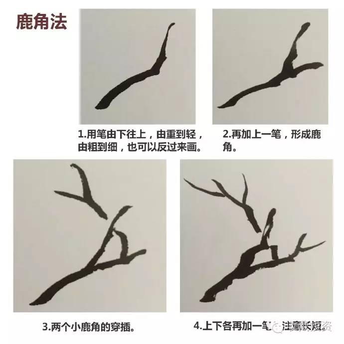 【国画入门】树法——露根法和鹿角法的画法.