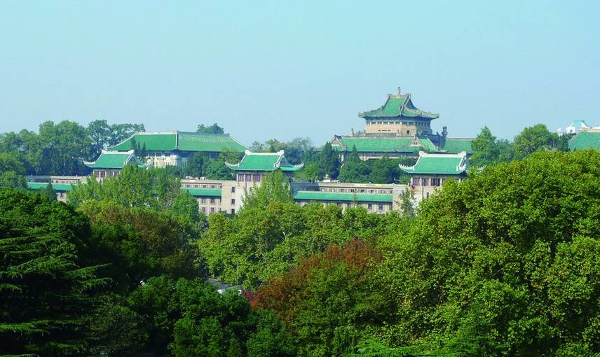 烽火村到武汉大学怎么搭_武汉大学