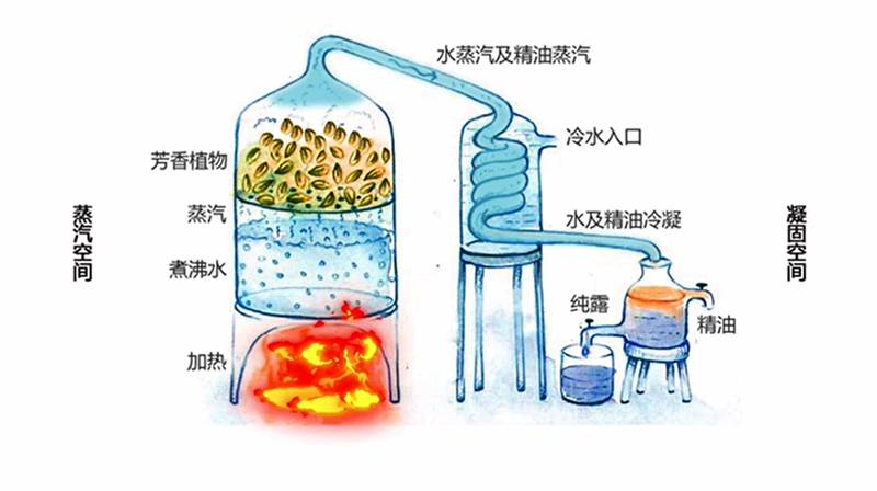 no.3    纯露靠蒸馏,会不会里面已经没有任何有效物质了?