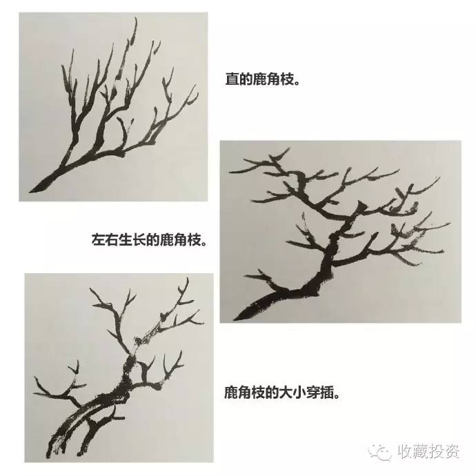 【国画入门】树法——露根法和鹿角法的画法.