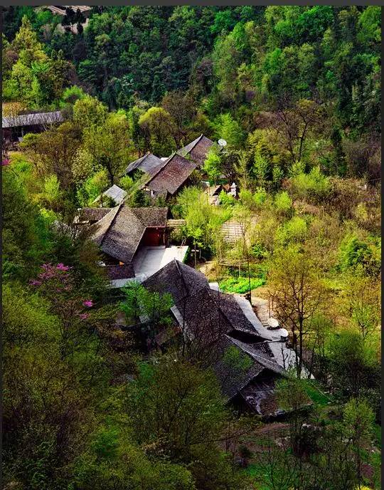 峡口村人口_渔峡口龙池村(3)