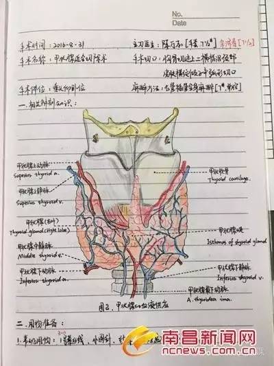 【新鲜】90后美女护士笔记走红 字迹工整解剖图手绘