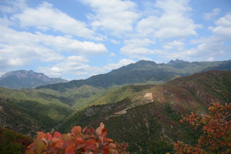 文化 正文 王屋山的西边,待落岭的西南,鳌背山的南边-济源三大